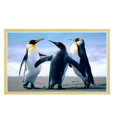 55" Android Wall Mount Outdoor Digital Signage For Art Gallery